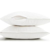 Silk Lined Pillow Bundle