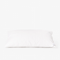 Silk Lined Pillow Bundle