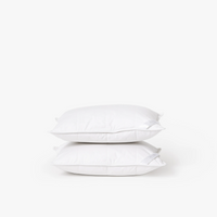 Silk Lined Support Pillows | Set of two