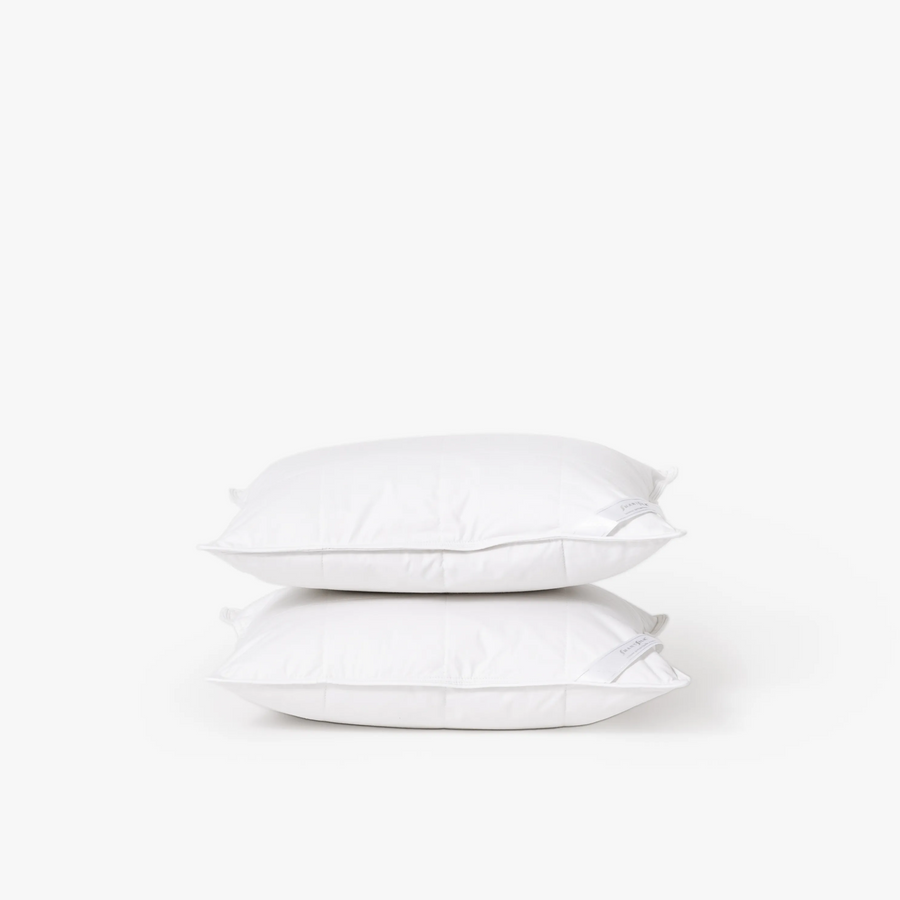 Silk Lined Support Pillows | Set of two