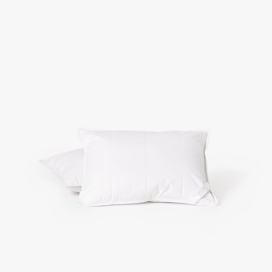 Silk Lined Support Pillows | Set of two