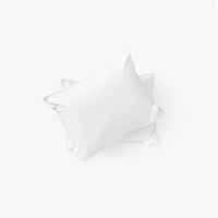 Silk Lined Support Pillows | Set of two