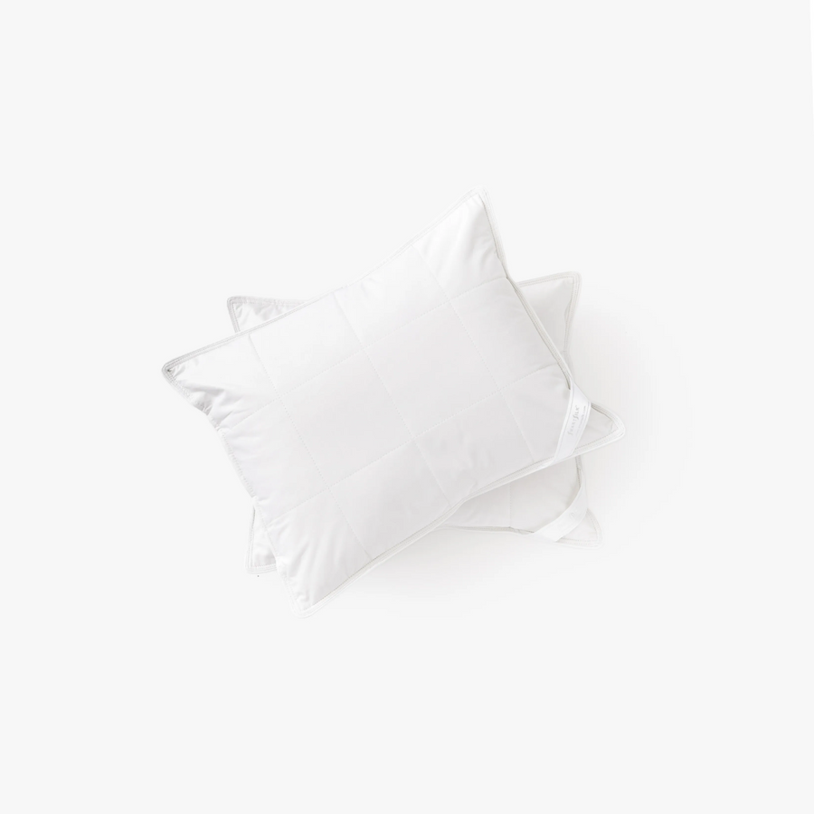 Silk Lined Support Pillows | Set of two