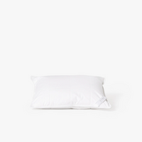 Silk Lined Support Pillows | Set of two