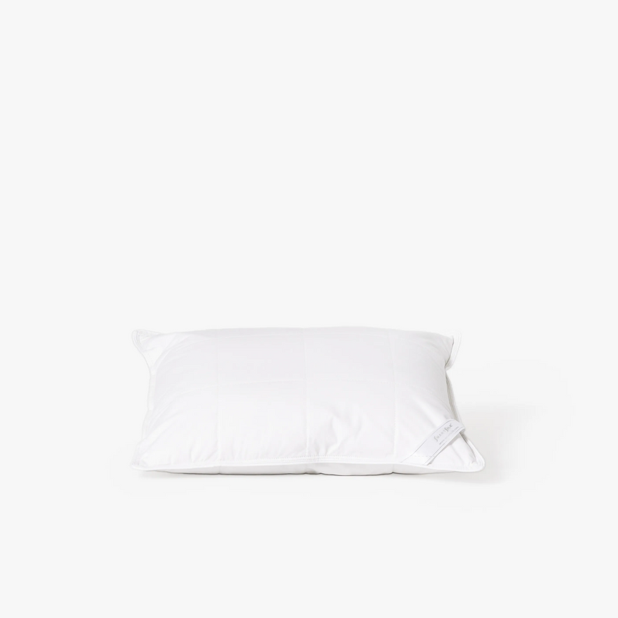 Silk Lined Support Pillows | Set of two