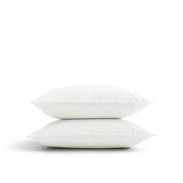 Silk Lined Travel Pillow | Set of two