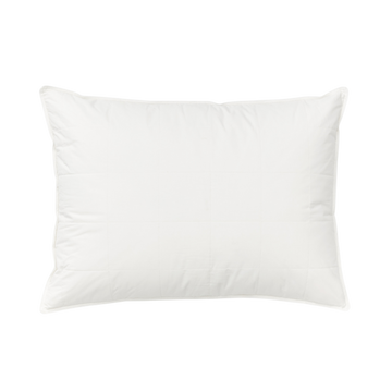 Silk Lined Pillow