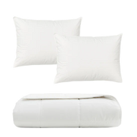 The Comforter & Pillow Bundle